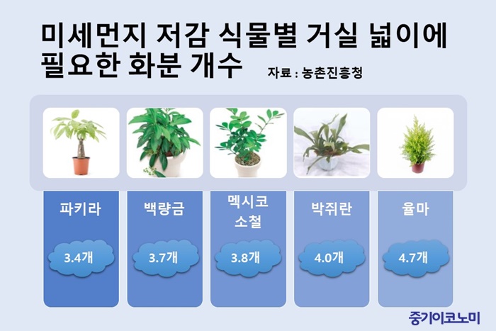 화분 3~5개면 실내 초미세먼지 20%↓
