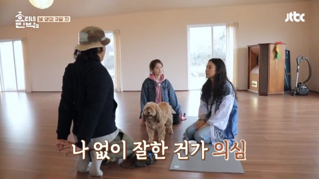 효리네민박2, 껌딱지 순심이 오랜만에 효리와 단독 외출