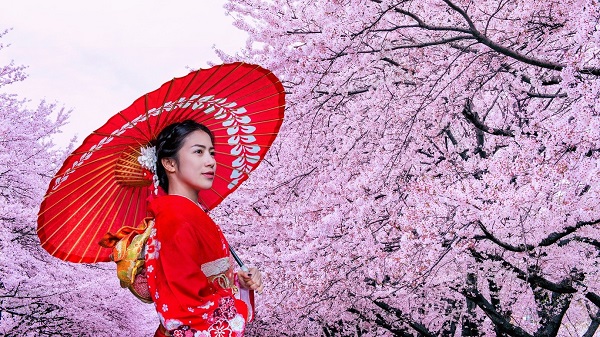 에이플러스라이프 크루즈앤조이, 일본크루즈여행상품 출시