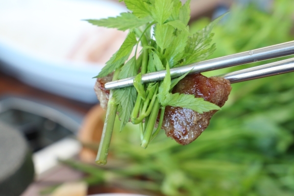 제주 에코랜드 근처 흑돼지 맛집 탐라흑돈정육식당, 직접 키운 미나리와 흑돼지 눈길