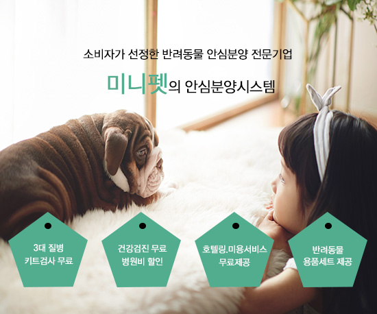 강남,부천,수원 소비자가 선정한 강아지·고양이 반려동물 안심분양 전문기업 미니펫