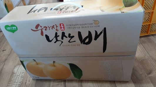 강원양양몰 설선물로 과일선물세트 낙산배 인기