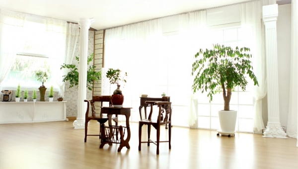 성수동 스튜디오 첼로사진 예술원 한양대점 부모님과 함께하는 가족 사진, 리마인드 웨딩 상품 인기