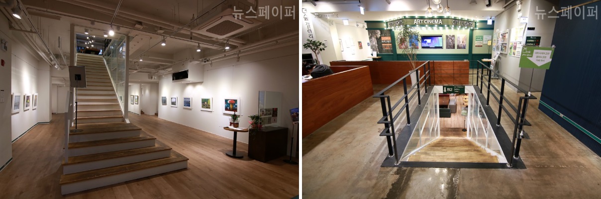 [인터뷰] 상주작가 박소란 시인과 함께하는 노원구 문화플랫폼 더숲, 시와 소설 등 문학을 가까이서 접할 수 있는 공간