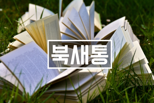 인스타페이 12월 1일 재정가 대행판매 플랫폼 북새통서비스 앞두고 출판사로부터 신청받고 설명회도 개최