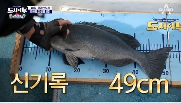 오도열도, 낚시하려면 떠나라? 잘 잡히는 물고기는