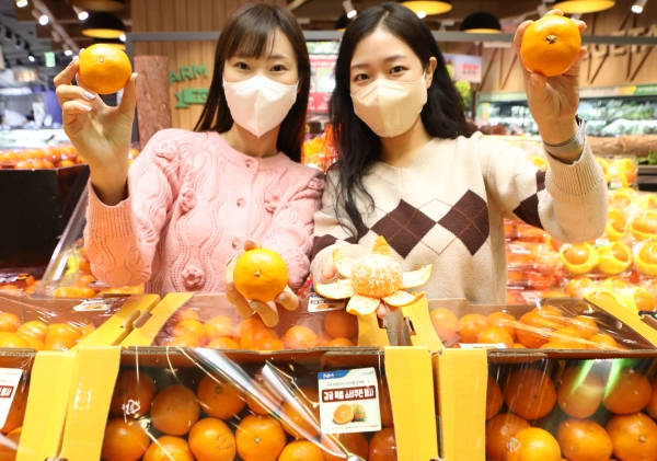 [유통] 이마트 롯데마트 현대홈쇼핑 롯데면세점 롯데온 롯데슈퍼 外
