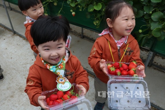 지역 농원에서 내 손으로 딸기 수확해요~