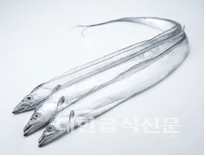 가을철 보양식, 갈치·대하 영양 최고