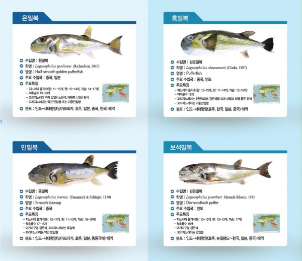 복어야, 넌 어느 나라에서 왔니?