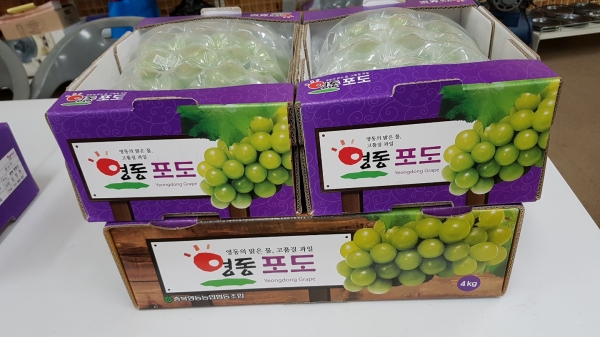 [추석선물 득템] 과일 고장 영동에서 자란 과일선물