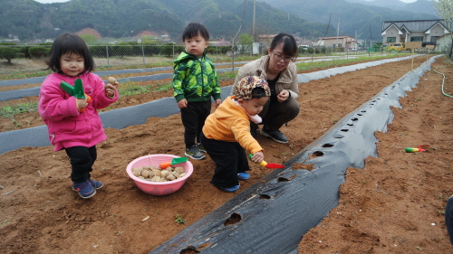 가평군 500평 텃밭 활용, 아이들 작물 재배 체험장 만들다