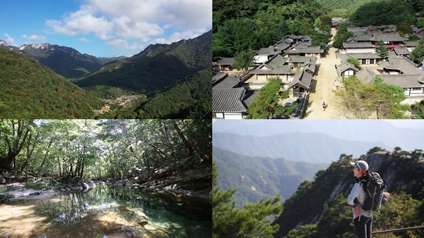 영상앨범 산 문경 대야산…오세진, 문경새재길~용추계곡~대야산~피아골~월영대 산행