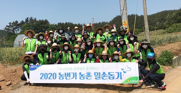 농협유통, 하나로마트 양재점 임직원들 태안 남면농협 농가 돕기 나서