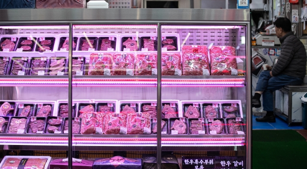 럼피스킨, 경기 포천서도 첫 발병…누적 52건