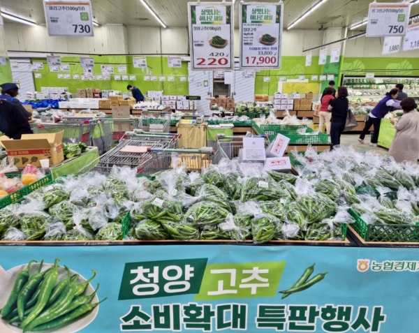 농협하나로마트, 청양고추 최대 45% 할인