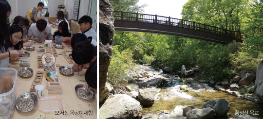 생명의 속삭임이 들리는 자연 쉼터를 찾아서