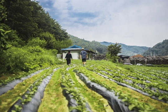 산촌을 아는 것 산촌 체험의 첫걸음