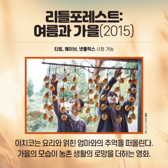 [카드뉴스] 가을 분위기 OTT 영화