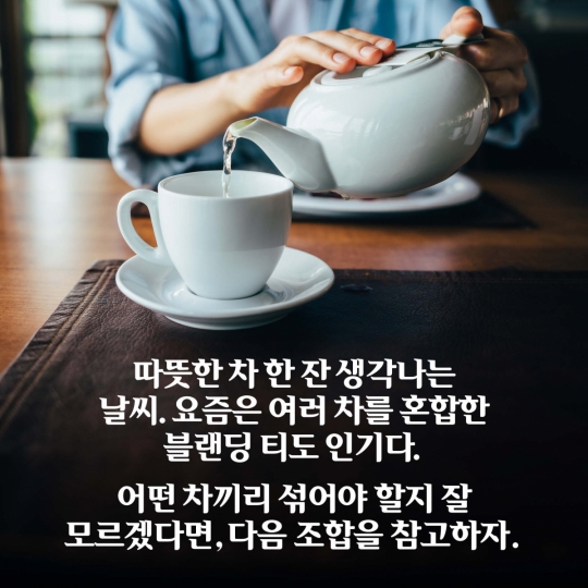 [카드뉴스] 궁합이 잘 맞는 티 블랜딩