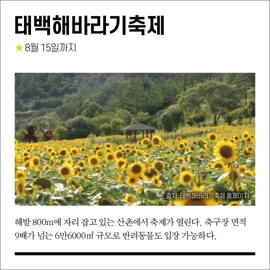 [카드뉴스] 8월 중장년 문화 달력