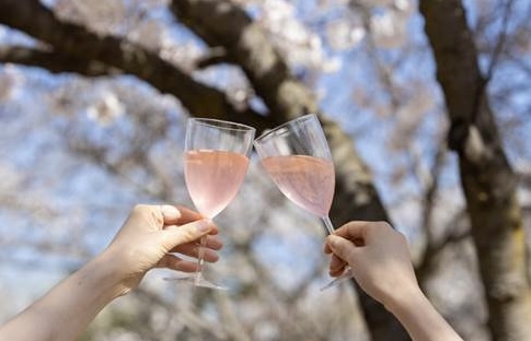 이랜드파크 켄싱턴 서울-제주에서 봄 소풍 즐기세요