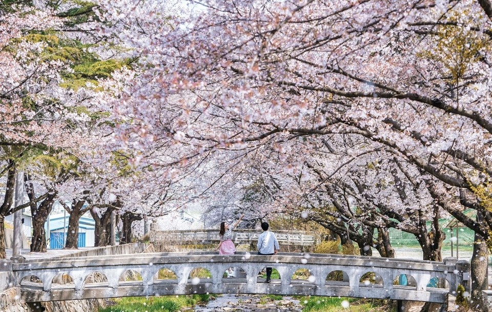 노랑풍선, 여행가는 달 캠페인 동참 여기로-컬 이벤트