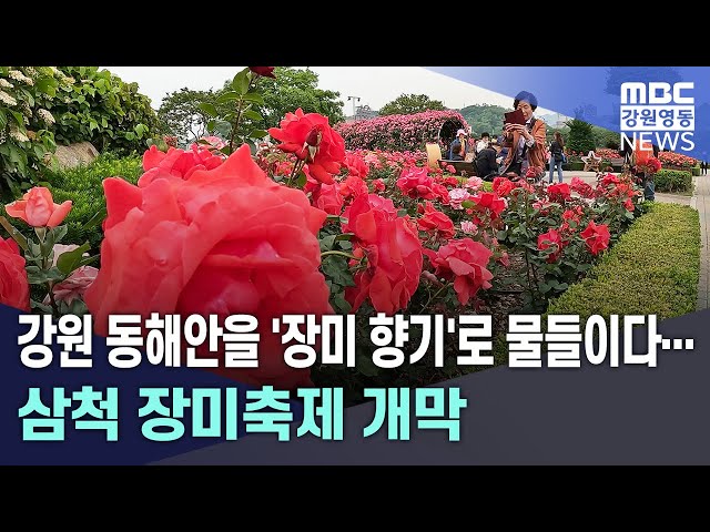 장미축제