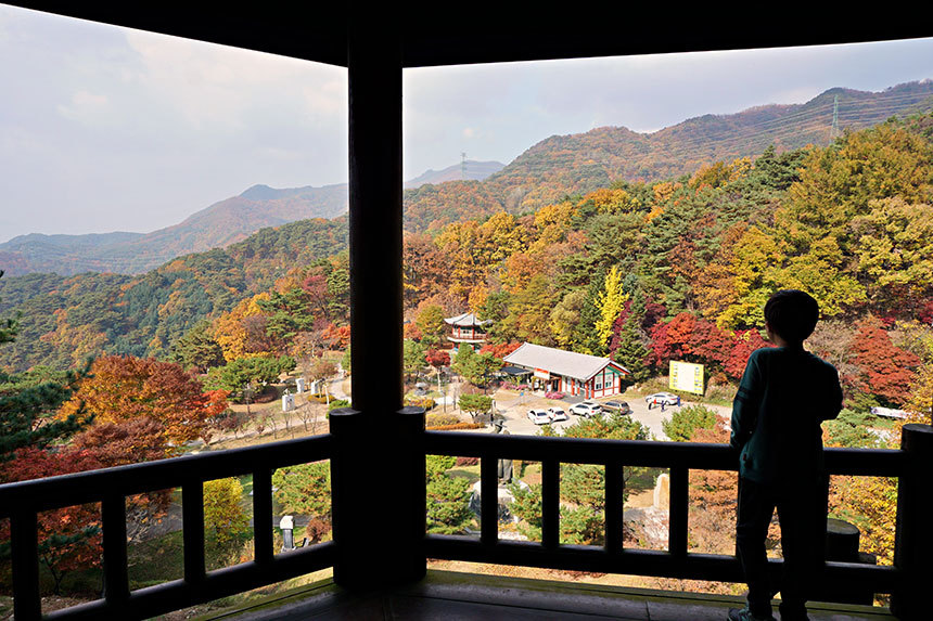 왜 울고 넘었어요? 노래가 만든 전설 제천 박달재