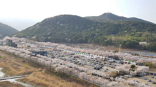 <영남알프스 기행> 작천정 술잔 바위에 사랑을 새기다