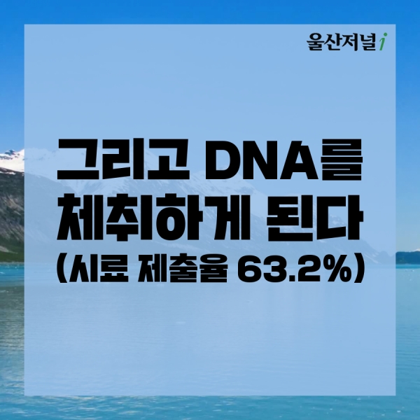 고래 고기 유통 카드 뉴스