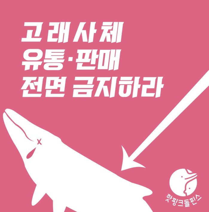 핫핑크돌핀스 “불법 횡행하는 고래 사체 유통판매시장 영구 폐쇄하라”