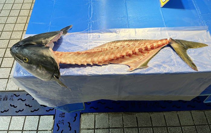 [디카시 세상] 오지랖