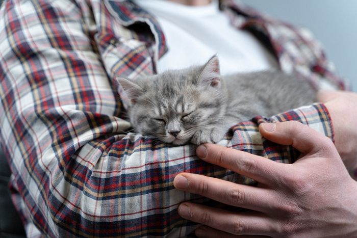고양이 키우는 사람, 세탁하다 걸리면 살인난다 현수막 붙은 코인 빨래방