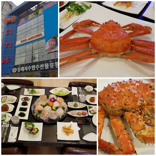 대게, 킹크랩, 회 삼박자 맛집 청주 율량동 맛집 대게야청정어랑 오픈