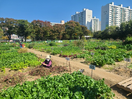 [15일 인천 남동구] 남동 실버농장 참여자 모집 등