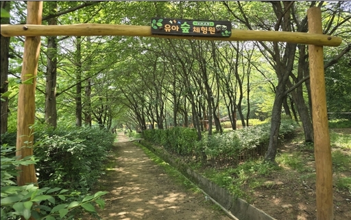 고양시, 장기미집행 공원 조성 박차⋯ 유아숲 등 생활 녹지공간 확대