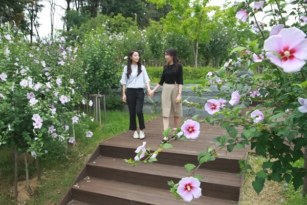 진천 충북혁신도시에 무궁화꽃이 피었습니다