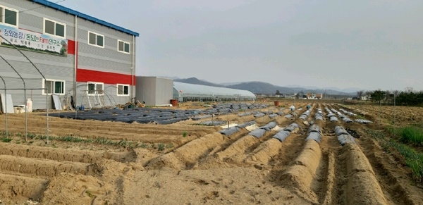 청주 `청와농장서 수확의 기쁨 나눠요