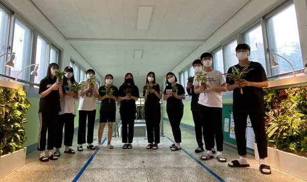 공기정화식물 활용그린스쿨만든다