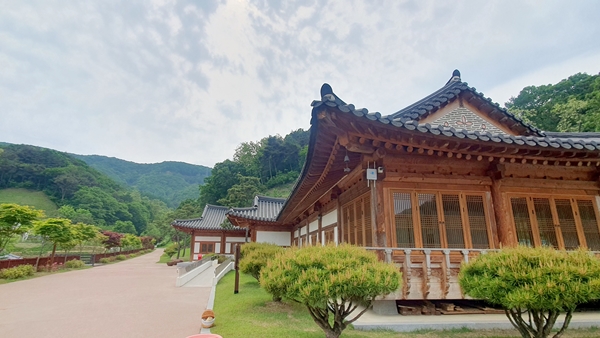 오월의 향기 … 쉼·힐링 선사