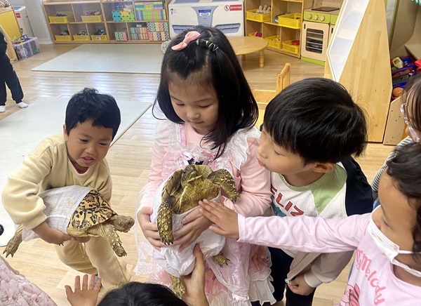 음성 금왕유치원 동물 체험활동