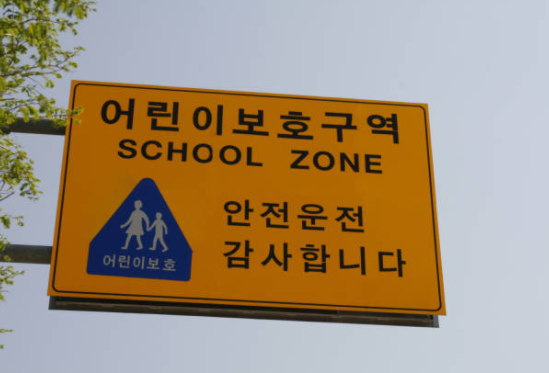 잇단 스쿨존 사고, 민식이법 만능 수단 아냐···운전자 절반이상이 보완 필요
