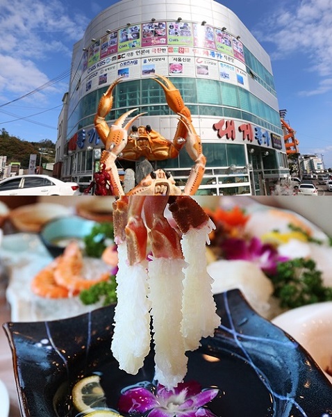 [맛집] 원조 대게 영덕 강구항 ‘대게종가’, 일출 여행 코스로 제격