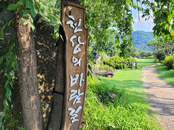 바람보다 앞서가지 마세요···옥천 수생식물학습원(천상의 정원)