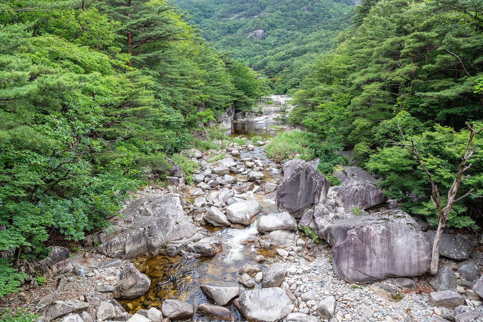 시 한 수 읊어볼까, 신선놀음하기 좋은 동해 무릉계곡