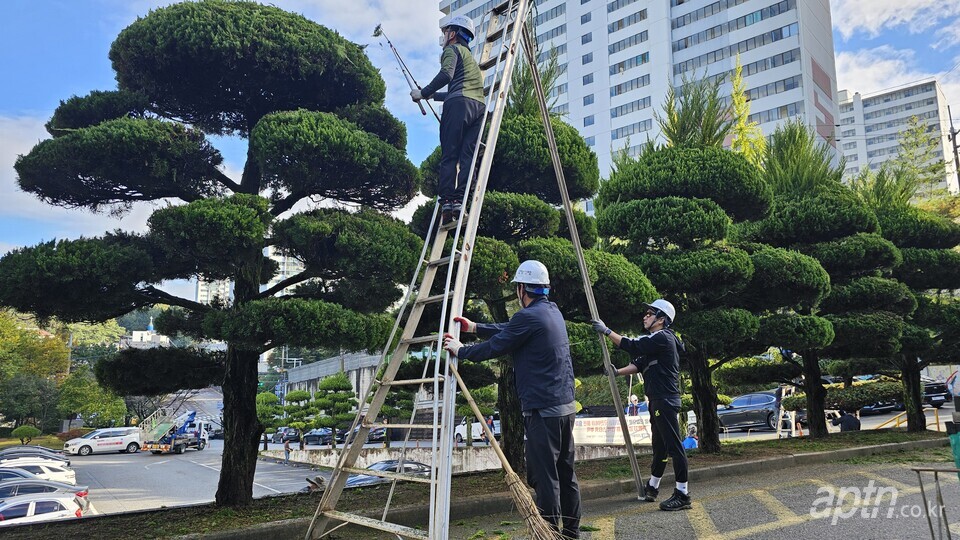 대주관 광주시회, 장애인복지관 조경관리 봉사 실시