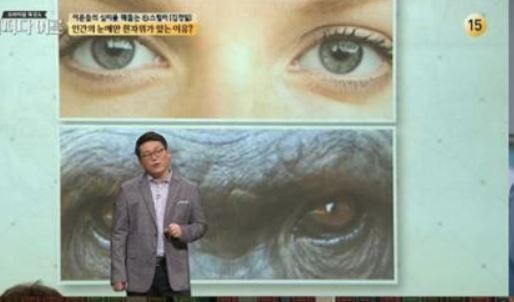 어쩌다 어른 김경일 소시오패스는 사람을 도구로 생각한다
