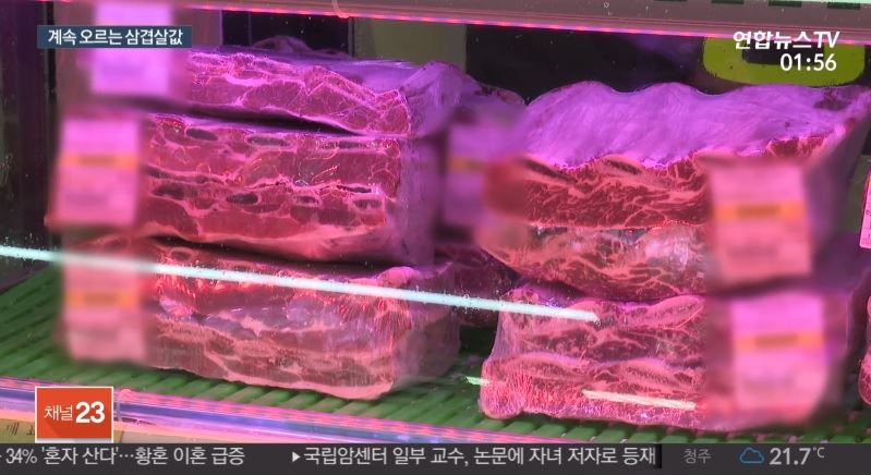 아프리카돼지열병 나흘째 추가확진 無..도매가 안정세 불구, 소매가는 오름세