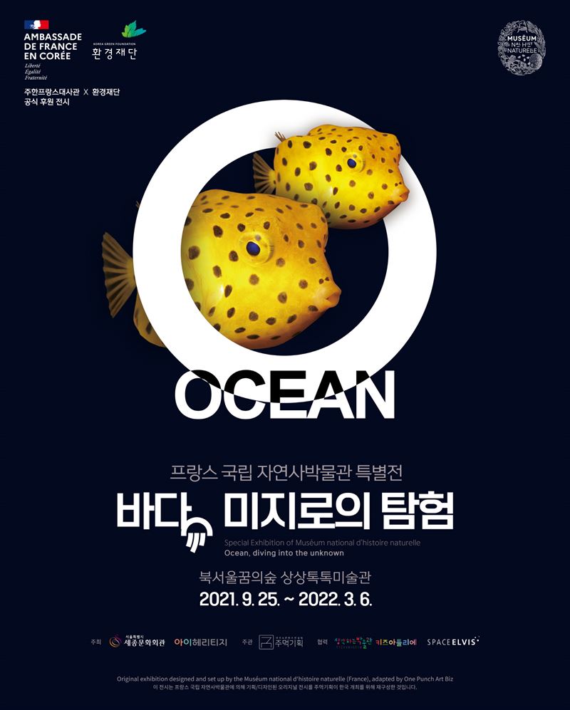세계 최대 규모 자연사 아카이브, 국내 상륙..바다 미지로의 탐험 전시